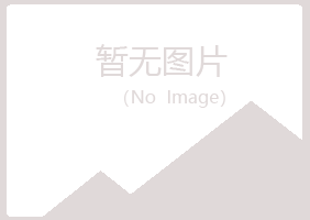 贡嘎县夏岚水泥有限公司